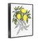 Stupell Industries Lemons & Flowers Vintage Sketch Framed Giclee, design by Cecilia Battaini
